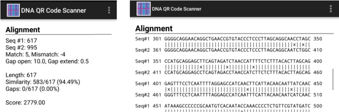 Dna qr code quest answers