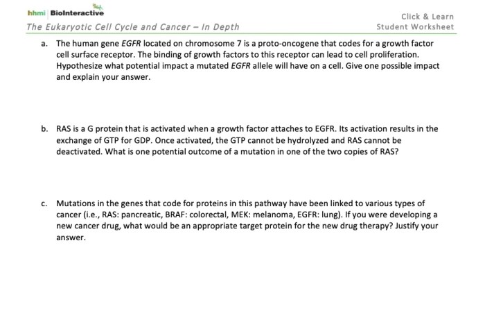 Hhmi cell cycle and cancer answer key
