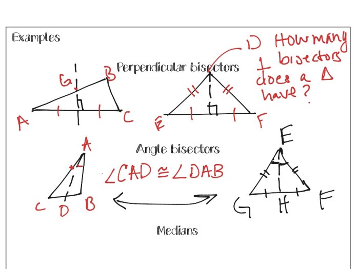 Special segments in triangles worksheet