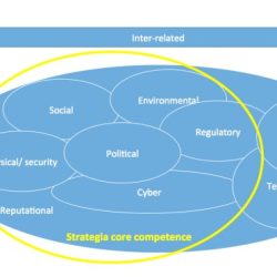 Complex risk situations are aceable