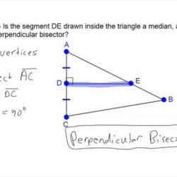 Special segments in triangles worksheet