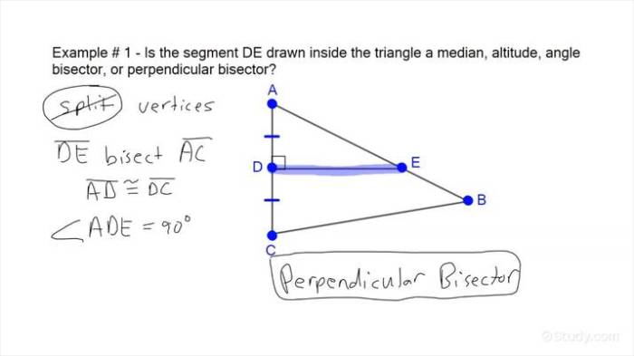 Special segments in triangles worksheet