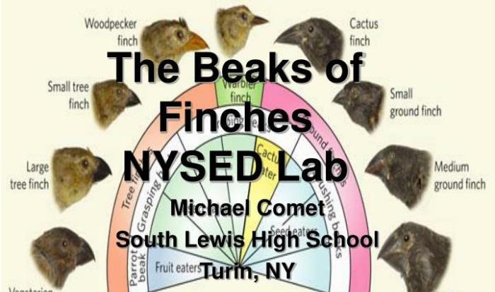 The beak of finches lab answer key