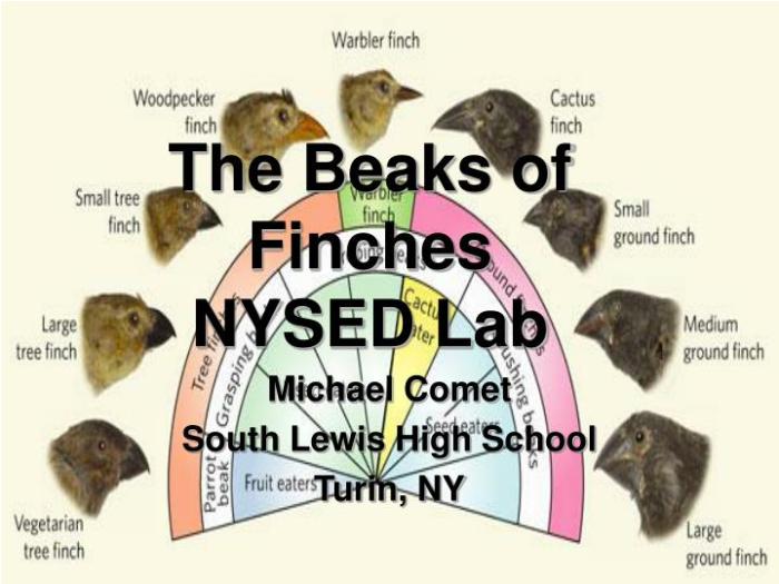 The beak of finches lab answer key