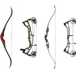 Recurve compound bow eagle armslist