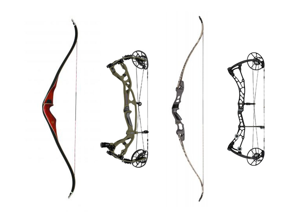 Recurve compound bow eagle armslist